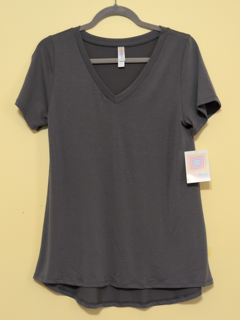 NWT - LuLaRoe Short Sleeve V-Neck Tee in Charcoal Gray